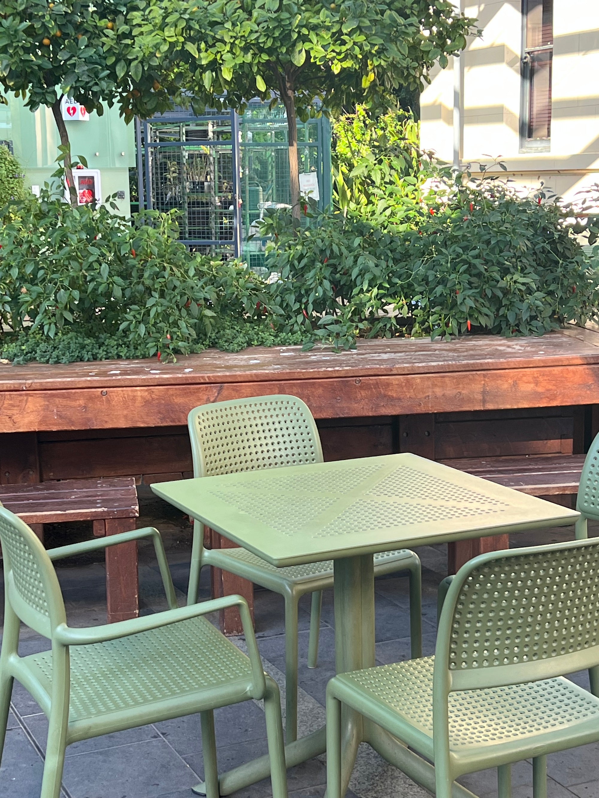 Evergreen Deli, Adelaide Botanic Gardens